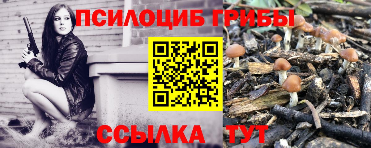 Псилоцибиновые грибы Psilocybine cubensis  Вход с VPN  Торжок 