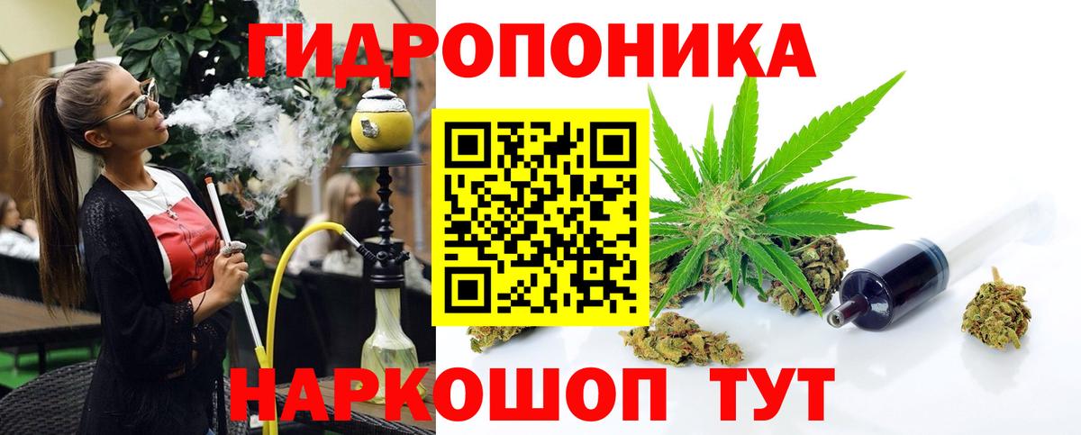 Шишки марихуана план Торжок